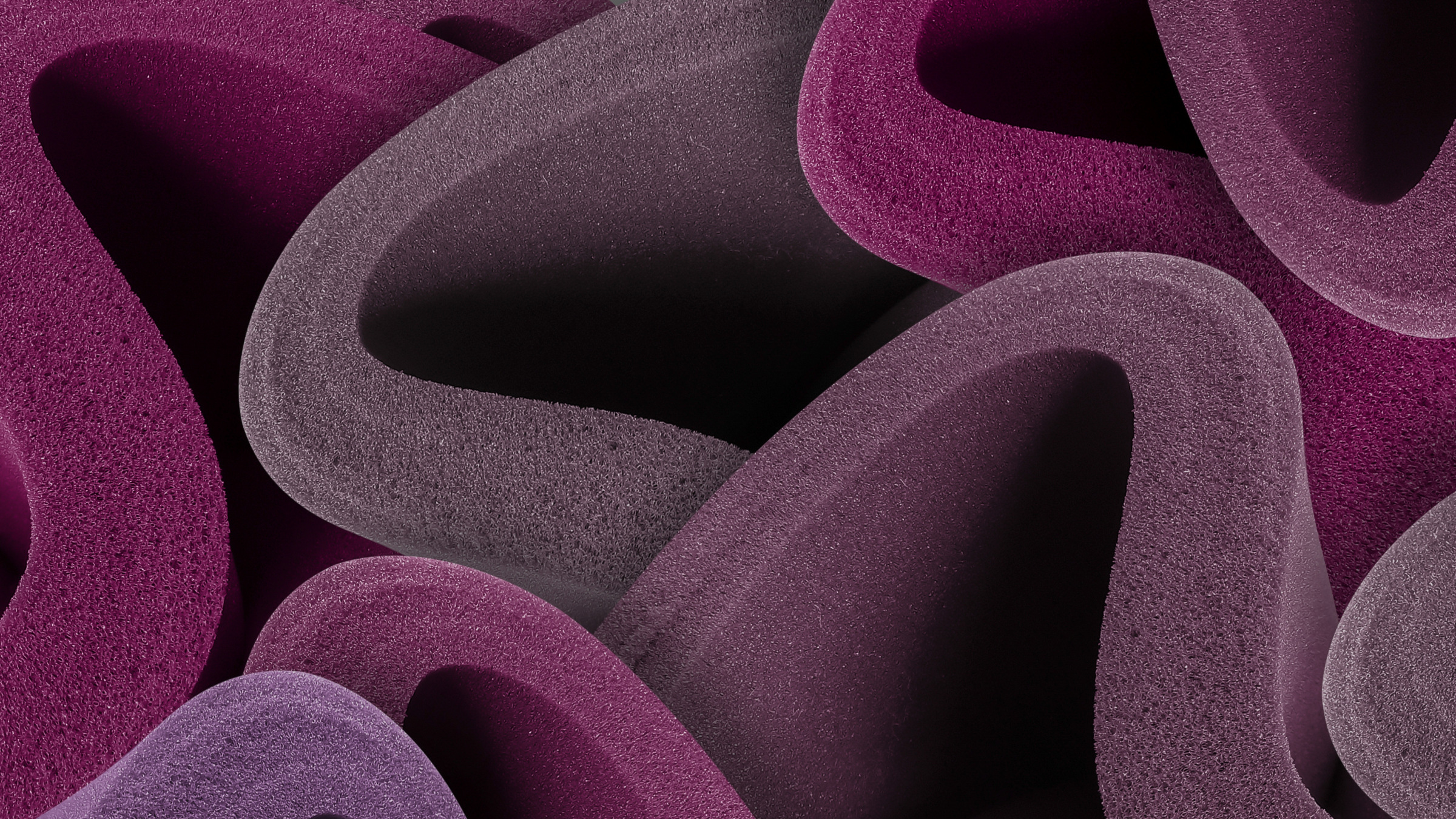 curved sponges