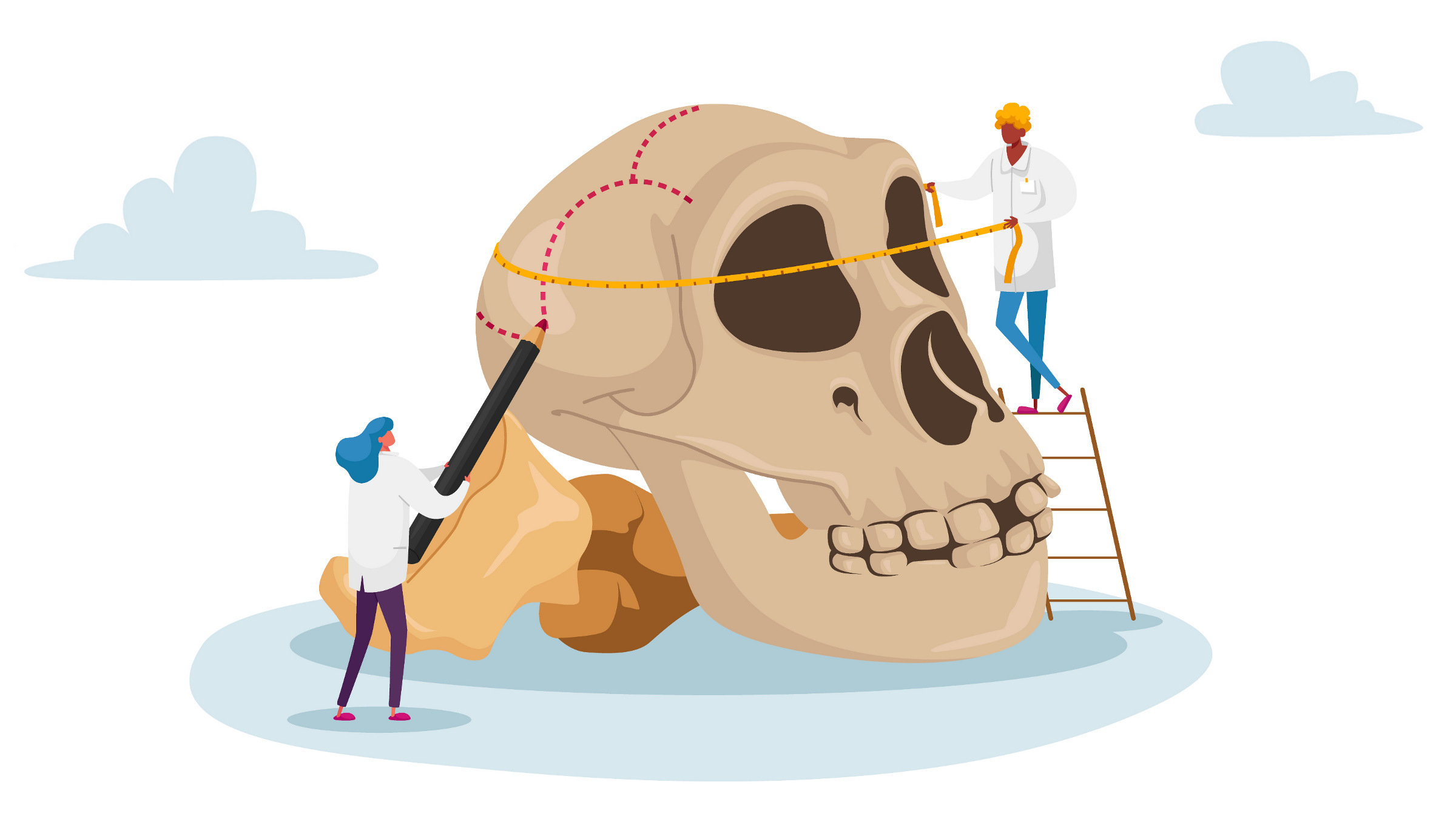 anthropologists measuring a huge neanderthal skull, cartoon vector