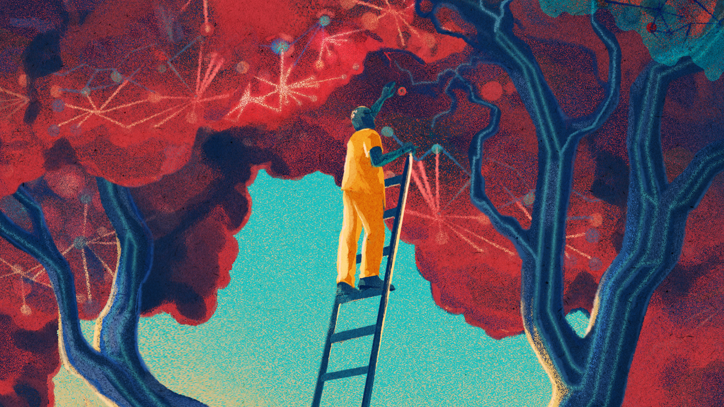 man on a ladder in a tree